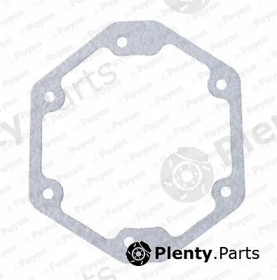 Payen LS859 — Gasket, timing case