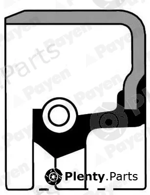 Payen NA5052 — Shaft Seal, crankshaft