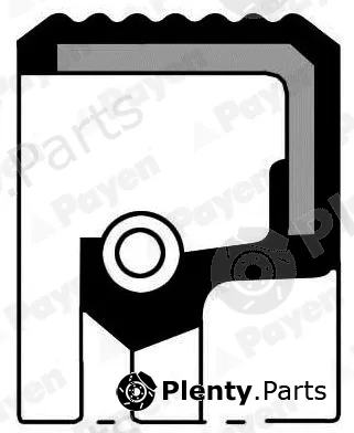 Payen NB307 — Shaft Seal, crankshaft