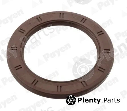 Payen NA5088 — Shaft Seal, crankshaft