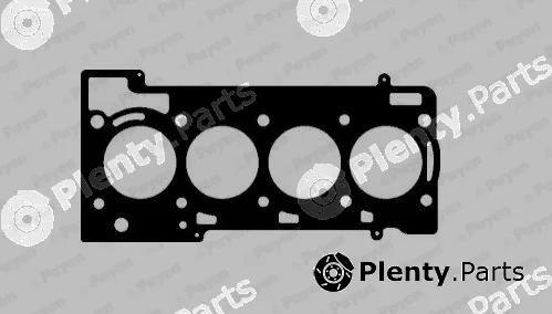 Payen AH8000 — Gasket, cylinder head