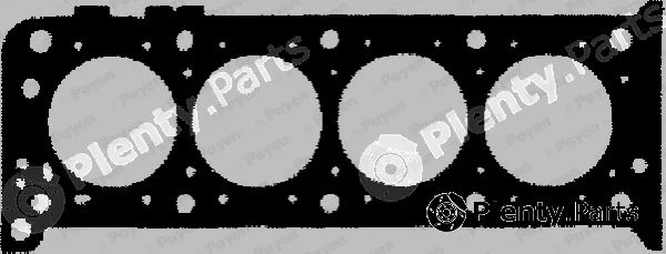 Payen BP720 — Gasket, cylinder head