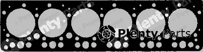 Payen AS411 — Gasket, cylinder head