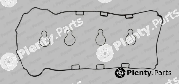 Payen HM5370 — Gasket Set, cylinder head cover