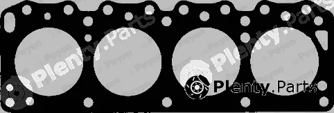 Payen AF880 — Gasket, cylinder head