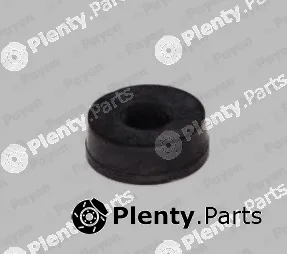 Payen JP076 — Seal Ring, cylinder head cover bolt