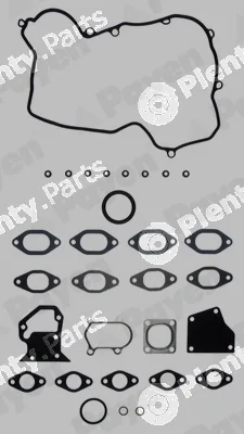 Payen DX392 — Gasket Kit, cylinder head