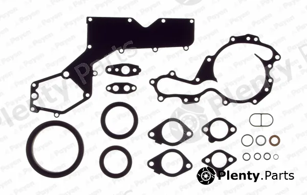Payen EG9770 — Gasket Kit, crankcase