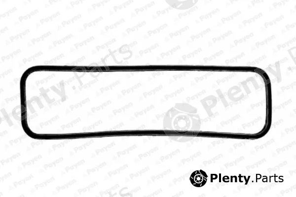 Payen JM025 — Gasket, cylinder head cover