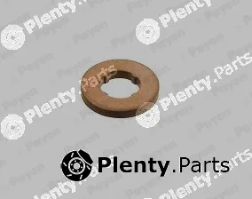 Payen KG5347 — Seal Ring, nozzle holder