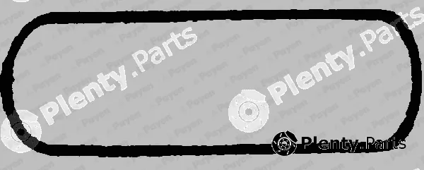 Payen JN494 — Gasket, cylinder head cover