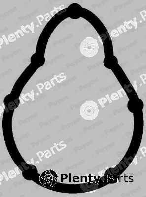 Payen JD5315 — Gasket, intake manifold