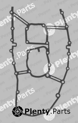 Payen JR5046 — Gasket, timing case