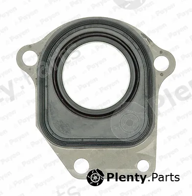 Payen NC044 — Shaft Seal, intermediate shaft