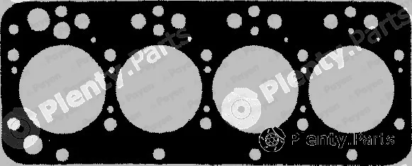 Payen AN460 — Gasket, cylinder head