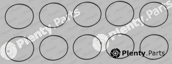 Payen HL5383 — O-Ring Set, cylinder sleeve