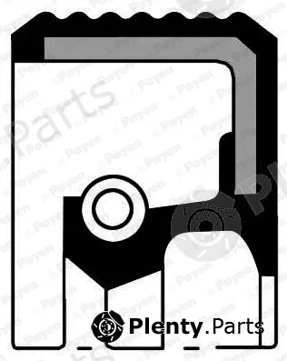 Payen NF835 — Shaft Seal, crankshaft