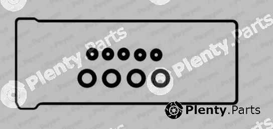 Payen HM5258 — Gasket Set, cylinder head cover