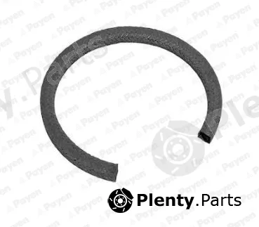 Payen PA815 — Shaft Seal, crankshaft
