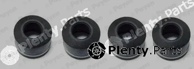 Payen HR336 — Seal Set, valve stem