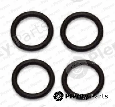Payen HA5029 — Gasket Set, intake manifold