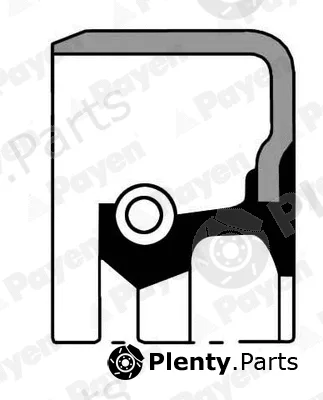 Payen NJ794 — Shaft Seal, manual transmission