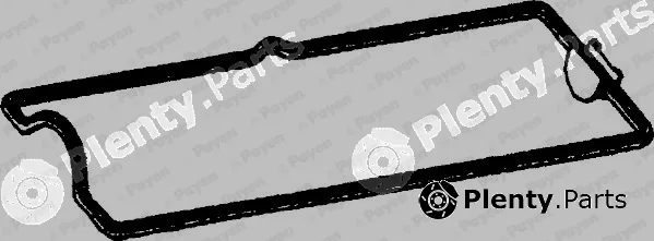 Payen JN972 — Gasket, cylinder head cover