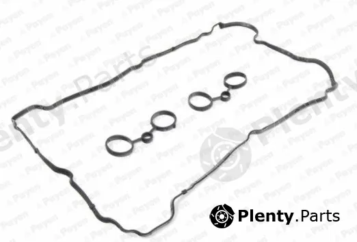 Payen HM5371 — Gasket Set, cylinder head cover
