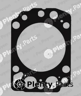 Payen AG9340 — Gasket, cylinder head
