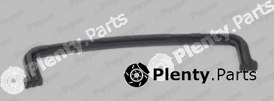 Payen JR5051 — Gasket, timing case cover