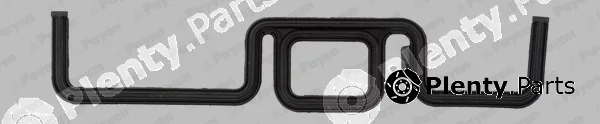 Payen JR5031 — Gasket, timing case