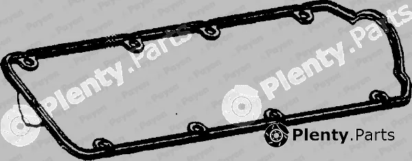 Payen JN698 — Gasket, cylinder head cover