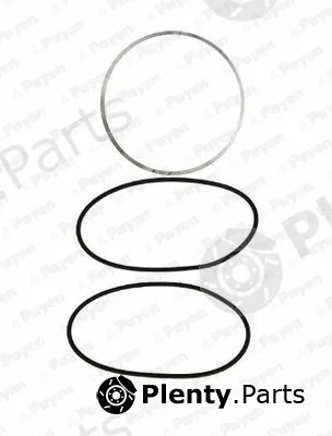 Payen HL5077 — O-Ring Set, cylinder sleeve