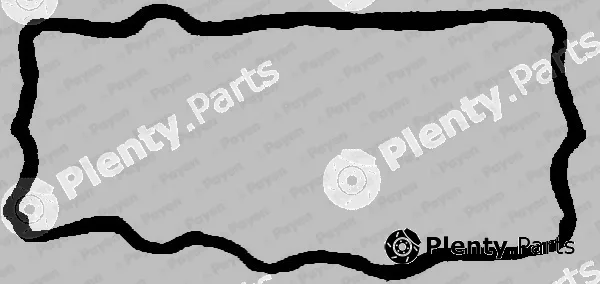Payen JN655 — Gasket, cylinder head cover