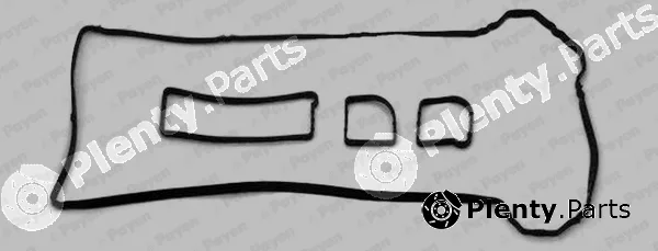 Payen JM5153 — Gasket Set, cylinder head cover