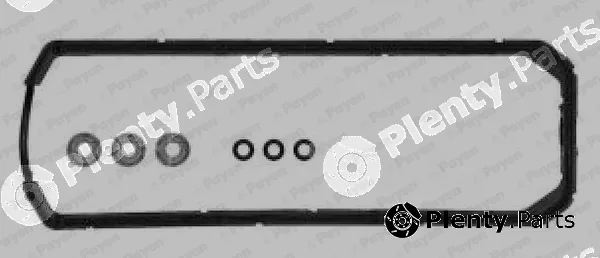 Payen HM5058 — Gasket Set, cylinder head cover