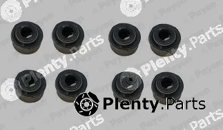 Payen HR342 — Seal Set, valve stem