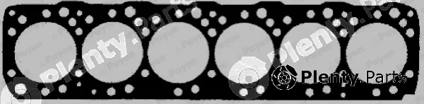 Payen AA5010 — Gasket, cylinder head