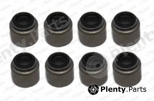 Payen HR5153 — Seal Set, valve stem