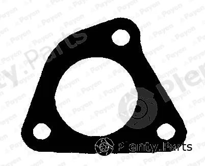 Payen JE5087 — Gasket, exhaust pipe