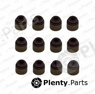 Payen HR5133 — Seal Set, valve stem