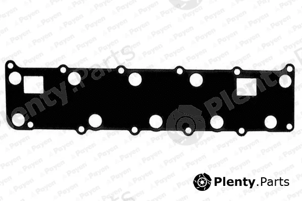 Payen LB161 — Gasket, cylinder head cover