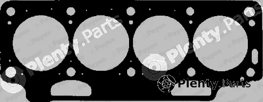 Payen BL910 — Gasket, cylinder head