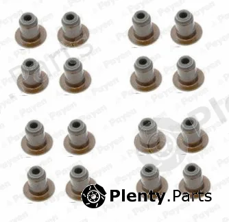 Payen HR5140 — Seal Set, valve stem