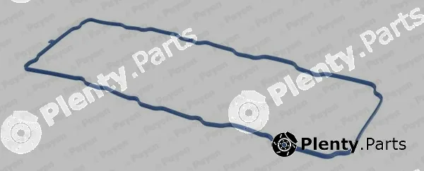 Payen JM5318 — Gasket, cylinder head cover