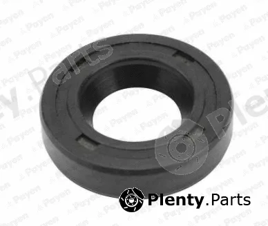 Payen NA5358 — Seal, injection pump