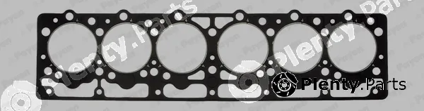 Payen BW480 — Gasket, cylinder head