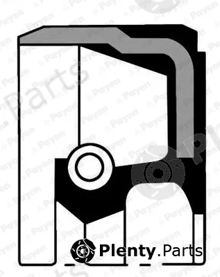 Payen NB814 — Shaft Seal, crankshaft