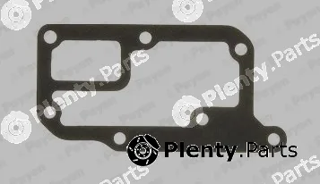 Payen LT839 — Gasket, water pump