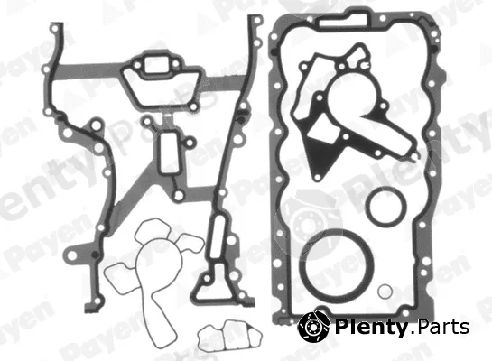 Payen EH5030 — Gasket Kit, crankcase
